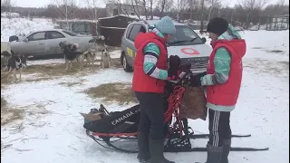 В Омске стартовали соревнования по ездовому спорту