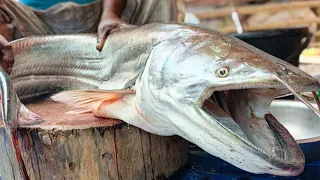 The Most Satisfying Fish Cutting Experience.