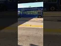 Pace Bus 2017 El Dorado BRT CNG Max I think on 349 at 79th Street Terminal