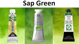 Sap Green Watercolor Comparison - Daniel Smith Rembrandt Winsor Newton