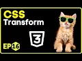 CSS Transform Property Scale Rotate Translate CSS in Hindi - 16