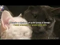 Download Lagu Someone To Spend Time With - Los Retros [Letra sub español]