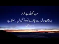 Download Lagu Very Beautiful Recitation of Surah An-Naml with Urdu Translation
