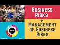 Business Risks and Management of Business Risks (ERM, Business \u0026 Corporate Risk Management)