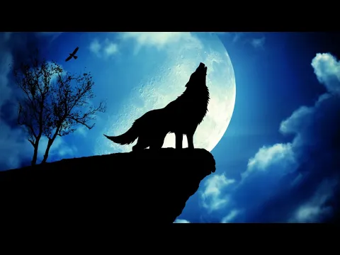 Download MP3 Wolf Howling Ringtone | Free Ringtones Download