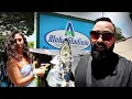 CRAZY MARKET SPREE in Honolulu Hawaii Aloha Stadium Swapmeet