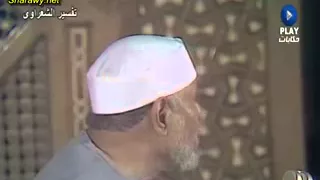 تفسير واضرب لهم مثل الحياة الدنيا كماء انزلناه من السماء فاختلط به نبات الأرض فأصبح 