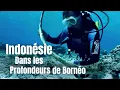 Download Lagu Indonesië, de oorsprong van de werelden