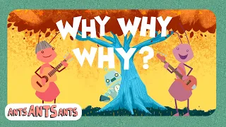 Why Why Why - Ants Ants Ants