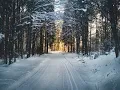 Does it snow in Mexico 2023 predictions