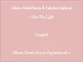 Hikaru Midorikawa & Takahiro Sakurai ~ I See The Light