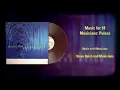 Steve Reich and Musicians - Music for 18 Musicians: Pulses (Vinyl Visualizer)