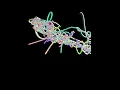 Initial Generative Art Simulation