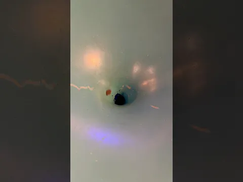 Huh?!