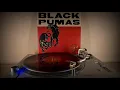 Black Pumas - Fast Car - 2020 (4K/HQ)