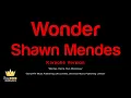 Shawn Mendes - Wonder (Karaoke Version)