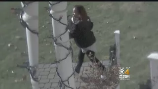 Tewksbury Police Seek Package Thief