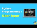 Taking User Input in Python A Step-by-Step Guide for Beginners