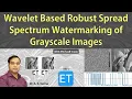 Wavelet based Robust Spread Spectrum Watermarking of Grayscale Images