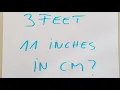 3 feet and 11 inches in cm