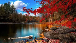 آيات تجلب الراحة والطمأنينة بصوت يفيض جمال ا وروعة من سورة الشعراء للشيخ عبد الباسط عبد الصمد 