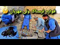 Download Lagu در جستجوی یگانه گژدم بدون زهر د دره ترکمن 😍