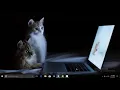 JavaFX Alerts Different Forms Of javafx scene control Alert