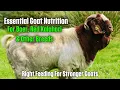 Complete Guide to Goat Nutrition How to Keep Your Boer Red Kalahari Goats Thriving