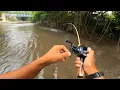 Download Lagu GANAS BENER .. !! DI HAJAR GABUS BESAR SENAR SAMPAI PUTUS || CASTING GABUS SUNGAI