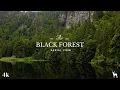 Download Lagu Black Forest Germany \u0026 Austria Nature, 4K Ultra High Definition.