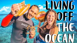 SPEAR FISHING CATCH N COOK | Living Off The Ocean On Sailboat