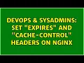 DevOps SysAdmins Set Expires and Cache-Control headers on Nginx 2 Solutions