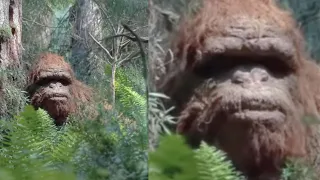 Bigfoot Trail Cam Footage That Could Be the Best Evidence Yet