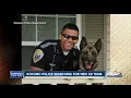 Kokomo police searching for new K-9 team