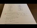 Algebra 1 Chapter 8 Practice Test