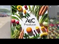 Visitando la Fruteria A C en La Pulga de Mission Tx