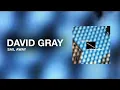 DAVID GRAY - Silver Lining (Official Audio)