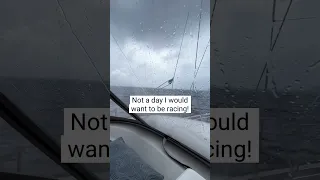 Oyster Yachts Antigua Regatta #shorts