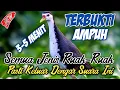 Download Lagu Pikat ruak ruak paling ampuh