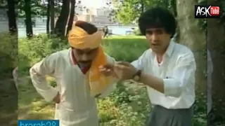 ثنائي التيقار 