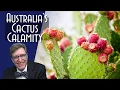 Australia's Cactus Calamity