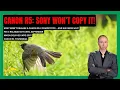 Things aren t as they seem Former Sony Exec reveals why there is no Canon R5 like camera