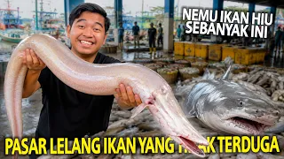 HUNTING IKAN DI PASAR LELANG IKAN TIDAK TERDUGA! BANYAK BANGET IKAN HIU DISINI! ANEH-ANEH BANGET!