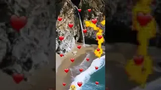 حبيبي حبيبي والله ساكن بطيبة بطيبة مولد النبي محمد ﷺ 