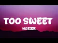 Download Lagu Hozier - Too Sweet (Lyrics)