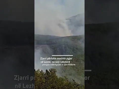Zjarri përfshin masivin pyjor në Lezhë, terreni i vështirë pengon ndërhyrjen e zjarrfikësve
