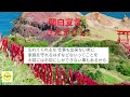 【70年代ヒットさだまさし関白宣言】