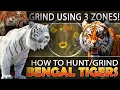 TIGER GUIDE HOW to GRIND TIGERS Using ONLY 3 DRINK ZONES - Call of the Wild