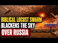 Biblical Locust Swarm Blackens the Sky Over Russia