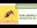 Download Lagu Webpalestra - Atuação dos ACS no combate à febre amarela